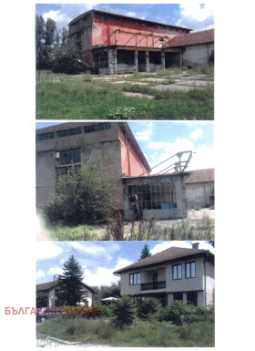 Сюжет Комарево, область Плевен